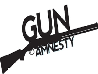 gun-amntesy
