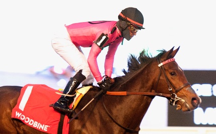 Patrick-Husbands-NEW Barbadian jockey Patrick Husbands.