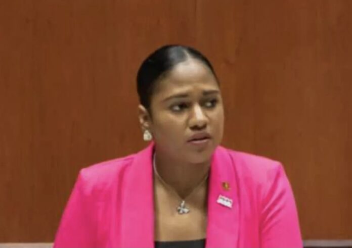 Antigua Works Minister addressing media at press conference.