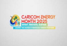 CARIBBEAN-CARICOM SG urges region to focus on renewable energy potential.