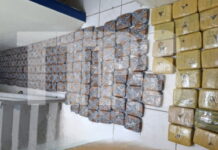 TRINIDAD-Police seize millions of dollars in marijuana. Trinidad police displaying seized marijuana during press conference
