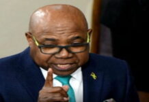 CARIBBEAN-Jamaica’s tourism minister to Chair new CTO committee Jamaica tourism minister CTO committee