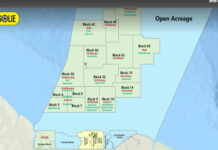 SURINAME-PETRONAS completes drilling of Caiman-1 Well in Block 52. PETRONAS completes drilling of Caiman-1 Well in Block 52