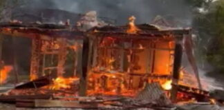 SURINAME-Prosecution wants suspended prison sentence for seven police officers on murder charges. Suriname Prosecution Seeks Suspended Sentences for Seven Police Officers in Murder Case