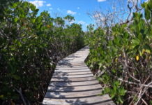 CARIBBEAN-Caribbean countries to benefit from new multi-year initiative.