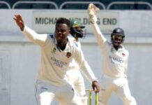 CRICKET-LEAD Pride thrash Scorpions to give themselves a chance of making the playoffs. Pride players celebrating big win over Scorpions with playoff hopes alive