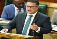 JAMAICA-Government to finalize carbon markets framework in 2026. Government announces plans to finalize national carbon markets framework next year