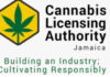 JAMAICA-CLA launches medical cannabis special permit programs