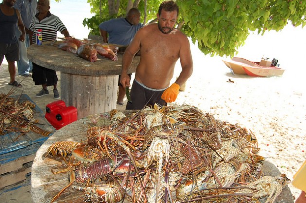 lobster-629x419 (1)