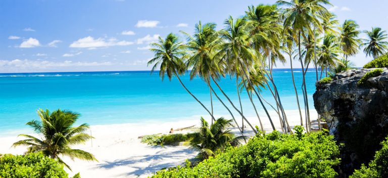 Barbados on track for another record year of tourist arrivals