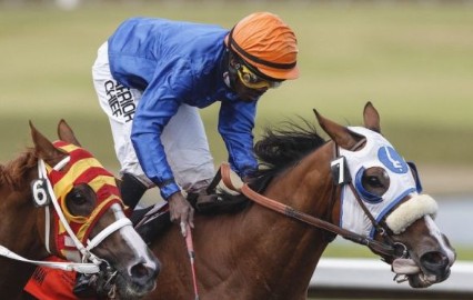 Dane-Nelson HORSE RACING-Nelson still out front after brace