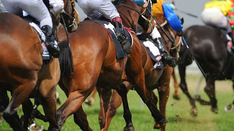 HORSE RACING-Four Barbadians win at Woodbine