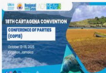 CMC Feature-The Caribbean Sea’s new compact for survival: reflections from COP18. Caribbean delegates discussing climate action at COP18 conference