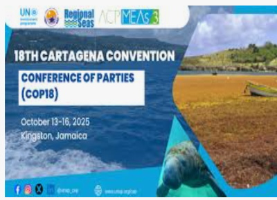 COP18-Jamaica Caribbean delegates discussing climate action at COP18 conference