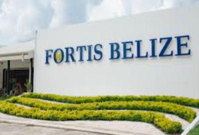 Belize Government to Acquire Shares in BEL and Hydro Power Plants Belize government plans to acquire shares in Belize Electricity Limited and hydro power plants