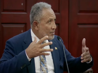 St. Vincent Opposition Leader Calls for Change During Independence Celebration St. Vincent Opposition Leader addressing crowd at independence anniversary event