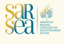 CARIBBEAN-OECS to launch SARSEA Project.