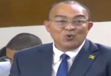 JAMAICA-Jamaica says dengue cases remain low. Jamaican health officials report that dengue cases remain low across the country