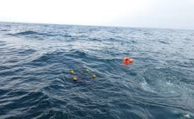 Search Intensifies for Missing Ship Captain Off Antigua Coast Coast Guard and rescue teams searching for overboard captain in Antiguan waters