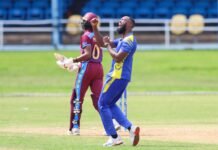 CRICKET-Magnificent Jordan fires Pride to comprehensive win over Hurricanes. Barbados Pride cricketer Chris Jordan celebrating CPL wicket.