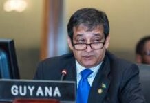 ST LUCIA-Former Ambassador of Guyana, Riyad Insanally, to lead OAS Electoral Mission in St. Lu.