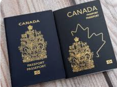 St. Vincent PM Plans Lawsuit Over Opposition Candidates’ Canadian Citizenship St. Vincent Prime Minister announcing planned lawsuit over opposition candidates’ Canadian citizenship