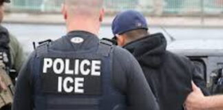Cubans among 230 sexual predators, violent criminals nabbed by ICE
