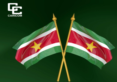 CARICOM Guyana Congratulate Suriname 50th Independence. CARICOM and Guyana officials with Surinamese leaders at independence anniversary event.