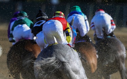horse-racing-pic Workers preparing Caymanas Park racetrack for November 15 reopening