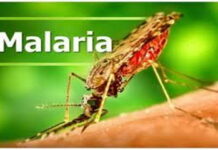 CARIBBEAN-PAHO urges governments to do more to deal with malaria cases. PAHO officials presenting malaria data at Caribbean health ministers meeting