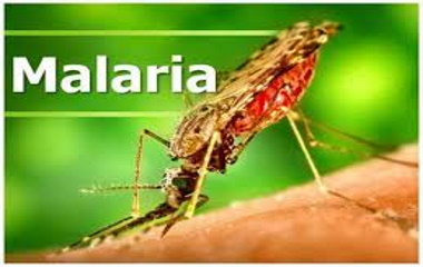 PAHO Urges Caribbean Governments to Strengthen Malaria Response PAHO officials presenting malaria data at Caribbean health ministers meeting