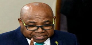 CARIBBEAN-Jamaica’s tourism minister to Chair new CTO committee Jamaica tourism minister CTO committee