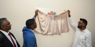 GUYANA-Grenada opens an honorary Consulate in Guyana.