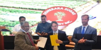 CARIBBEAN-Guyana and Belize to satisfy CARICOM’s demand for refined sugar. Guyana and Belize to meet CARICOM refined sugar demand