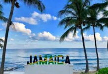 JAMAICA-Tourism minister pleased with rebound ofsector following Hurricane Melissa.