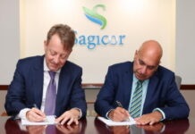 CARIBBEAN-Sagicor Financial announces proposed simplified organizational structure.