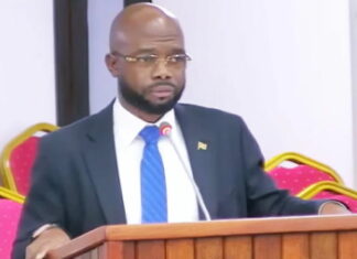 Suriname records nearly 150 cases of chikungunya.