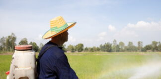 CARIBBEAN-CARICOM to offer three-level crop protection training programme. CARICOM officials launch crop protection training program for farmers