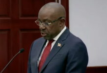 CARIBBEAN-CPSO study shows African Union exports to CARICOM could surpass US$1 billion. CPSO report graphic showing trade potential between Africa and the Caribbean