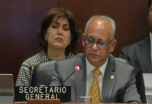 VENEZUELA-OAS prepared to play a meaningful role in Venezuela’s future The organization states it is ready to facilitate dialogue and support a democratic transition