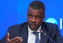 CARIBBEAN-Dominica lists problems related to establishing a geothermal energy project.