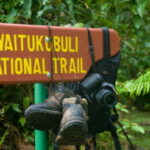 DOMINICA-Swiss nationals rescued after visiting the Waitukubuli National Trail. Swiss Nationals Rescued After Becoming Lost on Dominica's Waitukubuli Trail