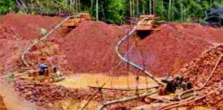 GUYANA-Guyana suspends 100 Brazilian miners. Guyana mining authorities suspend Brazilian gold miners for illegal operations