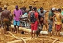 GUYNA-Brazilian miners die after pit collapses.