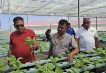 GUYANA-Centre of Excellence planned for Guyana’s School of Agriculture. Guyana Agriculture Minister Zulfikar Mustapha announces plans for new Centre of Excellence at Guyana School of Agriculture to modernize training with technology and hands-on learning for farmers