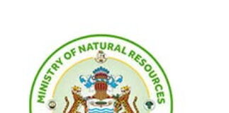 GUYANA-Guyana welcomes the commitment made by US oil and gas companies.