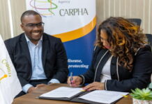 CARIBBEAN-PAHO and CARPHA sign framework agreement. AHO Director Dr. Jarbas Barbosa and CARPHA Executive Director Dr. Lisa Indar sign framework agreement virtually
