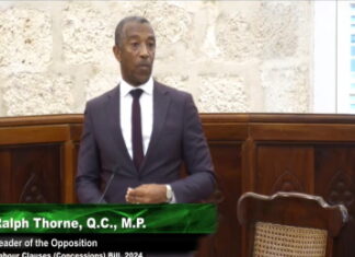 Barbados- The new Barbados government is to introduce legislation to deal with border crossing.