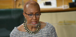 JAMAICA – Finance Minister confirms new taxes for the upcoming budget.
