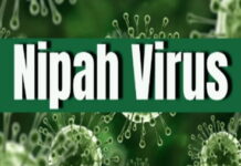 St. Vincent is closely monitoring the Nipah virus. St Vincent Ministry of Health issues statement monitoring Nipah virus cases in other countries while confirming low risk classification with no suspected or confirmed cases in St Vincent and the Grenadines